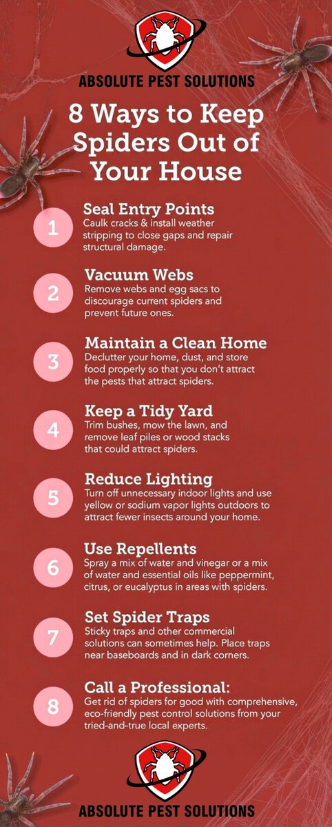 Ways to Keep Spiders Out Of Your House