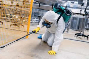 professional pest management