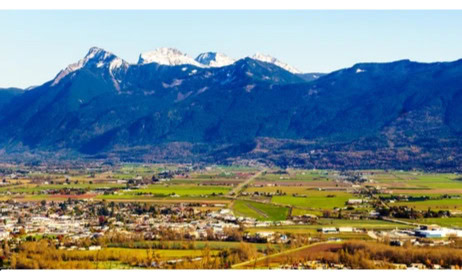 Chilliwack - Pest Control -Absolute Pest Solutions