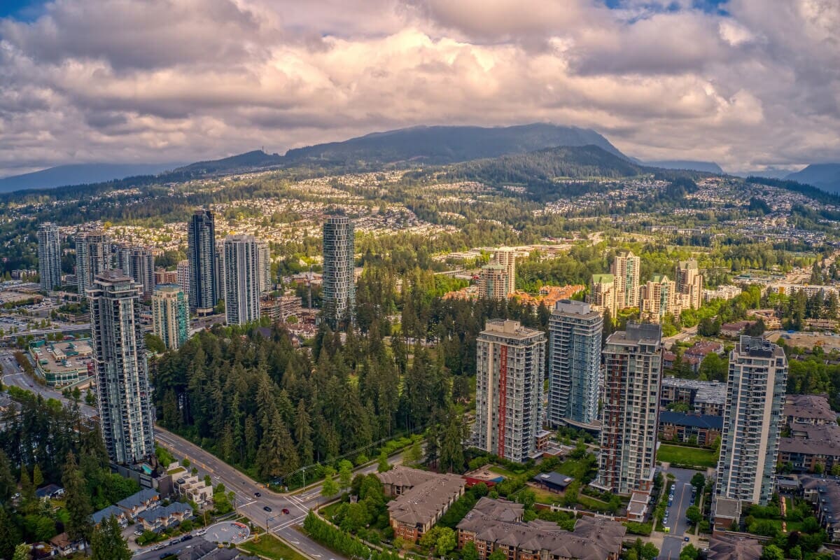 Coquitlam #3 Pest Control - Absolute Pest Solutions