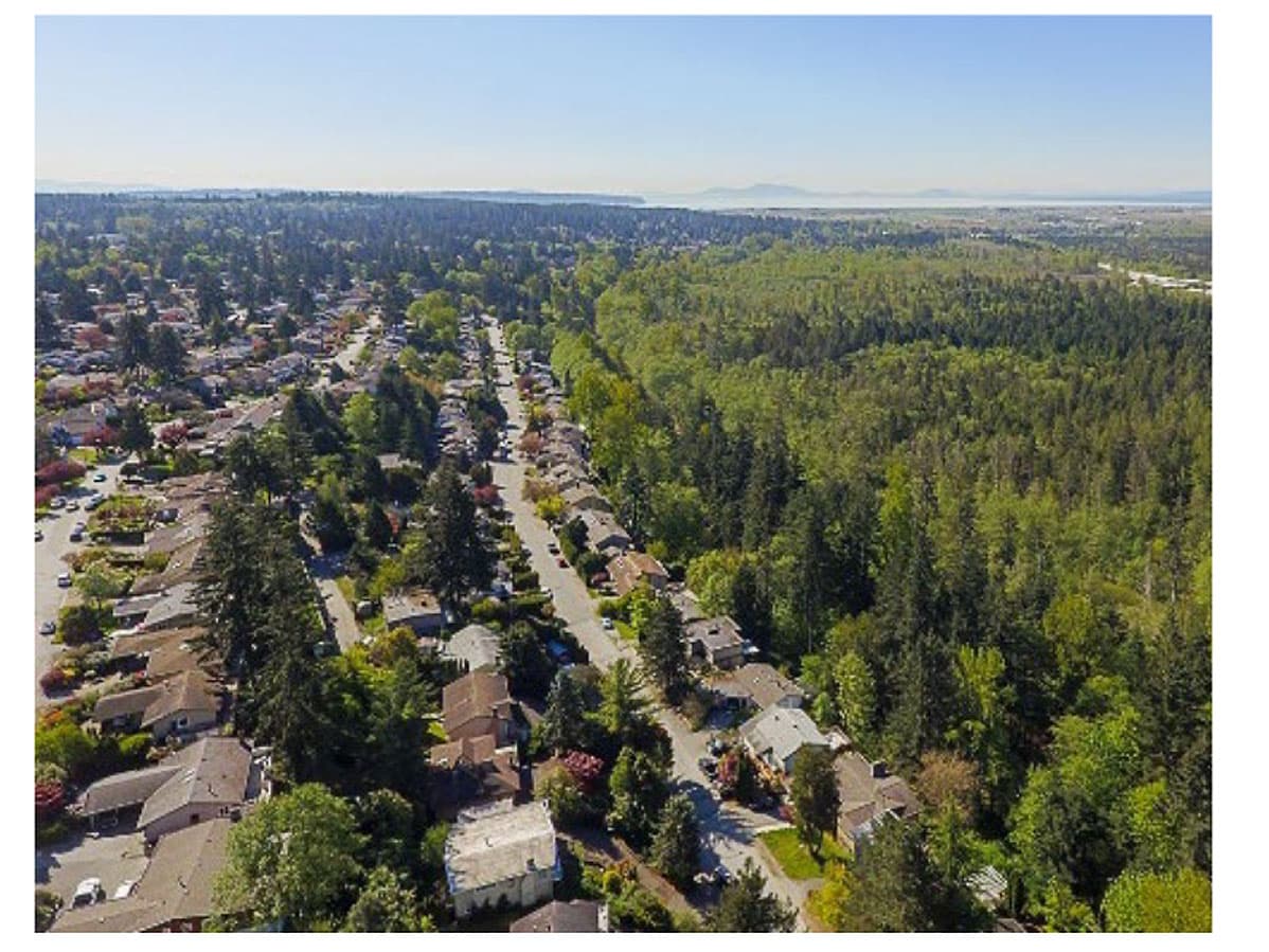 Delta #2 Pest Control - Absolute Pest Solutions