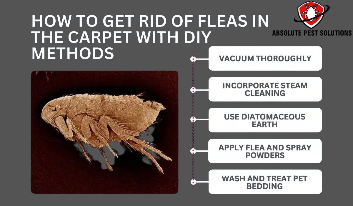 Flea DIY