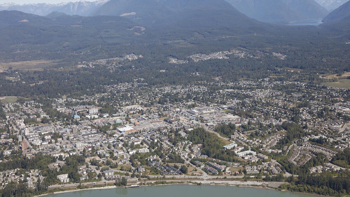 Maple Ridge #2 Pest Control - Absolute Pest Solutions