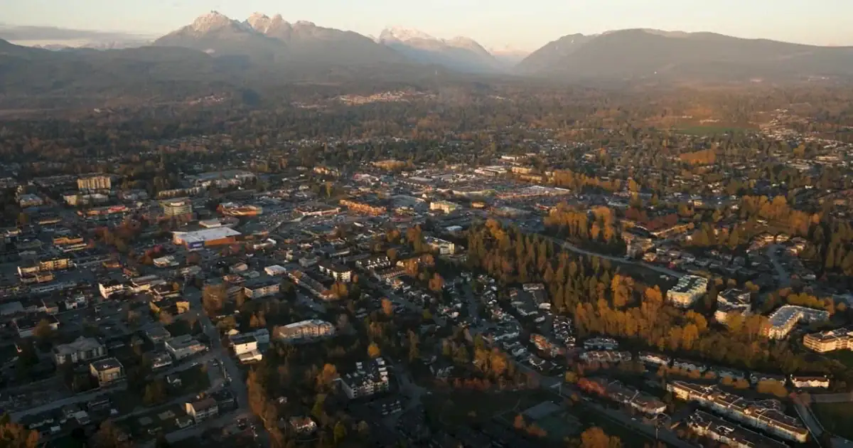 Maple Ridge #4 Pest Control - Absolute Pest Solutions