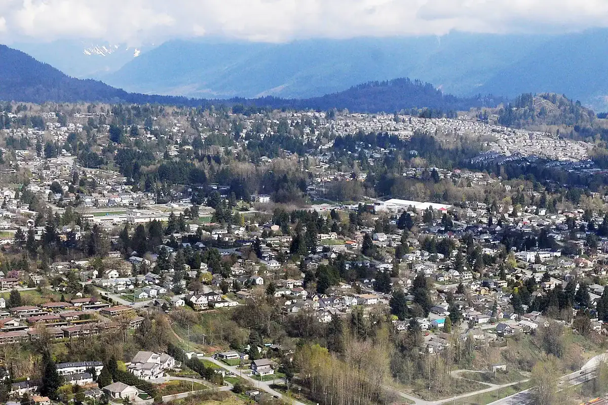 Mission #3 - Pest Control - Absolute Pest Solutions