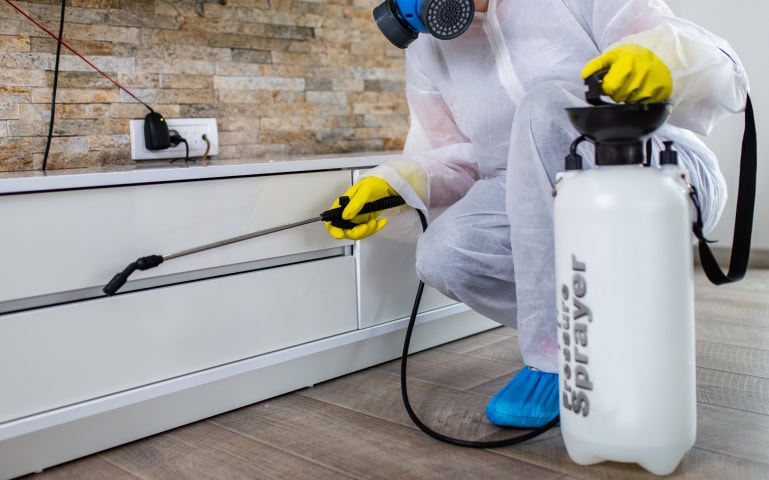 pest control service