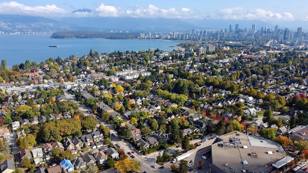 Richmond #4 Pest Control - Absolute Pest Solutions