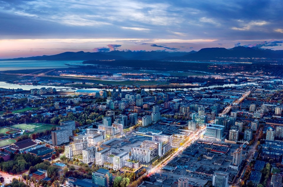 Richmond #5 Pest Control - Absolute Pest Solutions