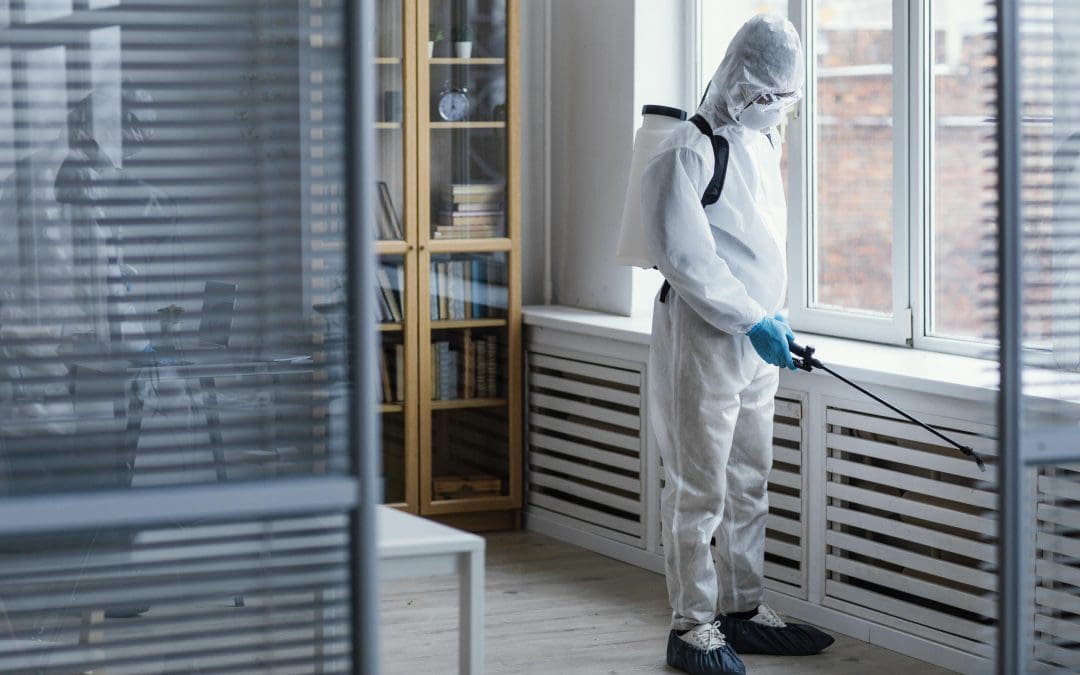 Trusted Residential Pest Control Services for Safe Homes