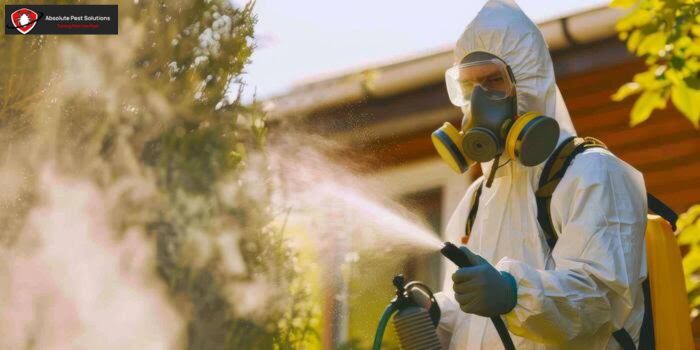 Pest Control Service Provider Vancouver For Lasting Results