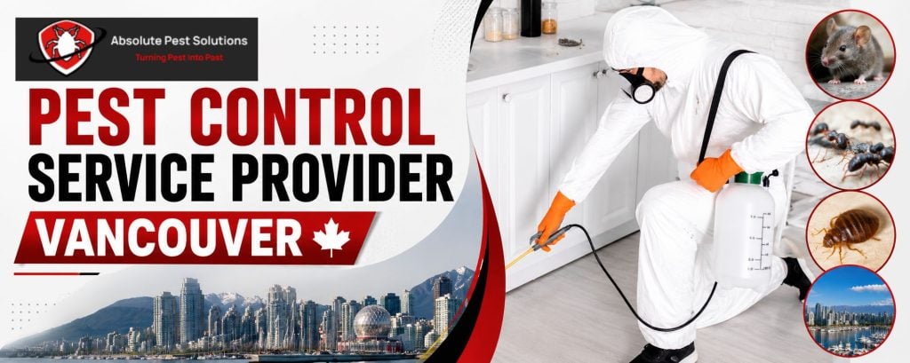 pest control service provider in Vancouver