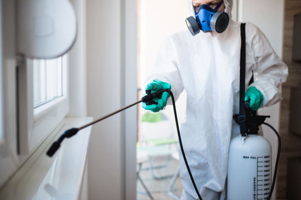 Best Pest Control Abbotsford for Safe Residential Pest Removal