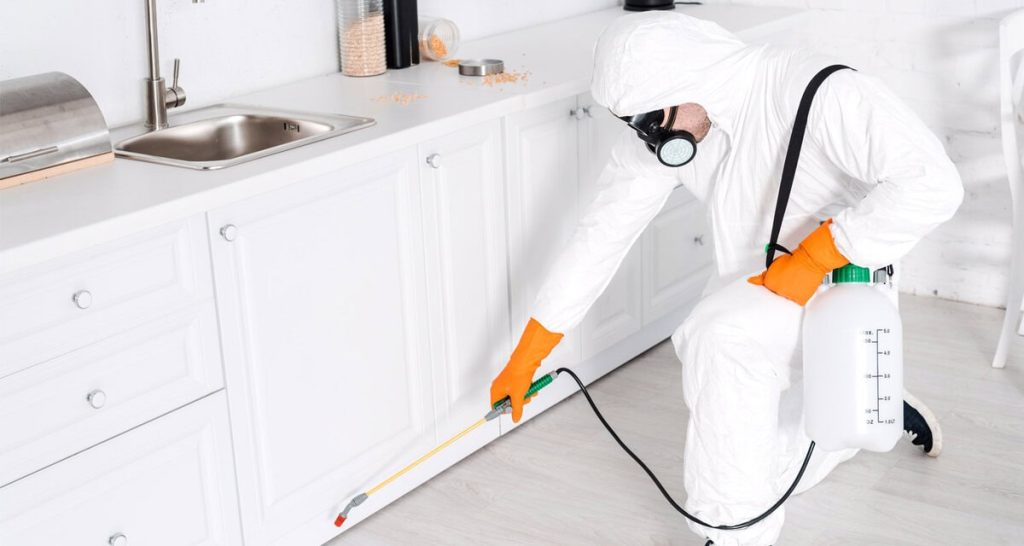 Best Pest Control Abbotsford