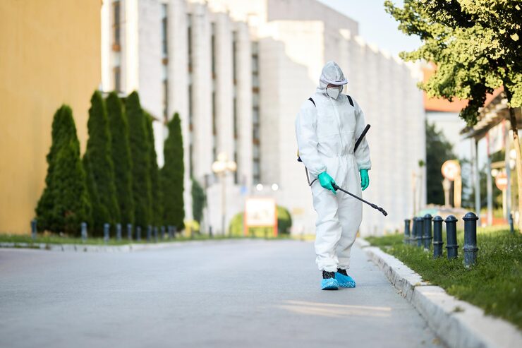 Residential Pest Control Services in Langley: What Homeowners Need to Know
